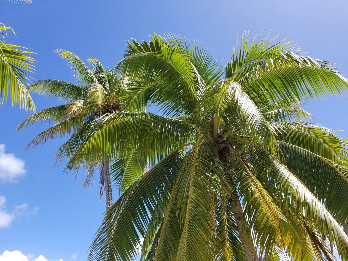 Paul Gauguin Cruises — Tahaa, French Polynesia