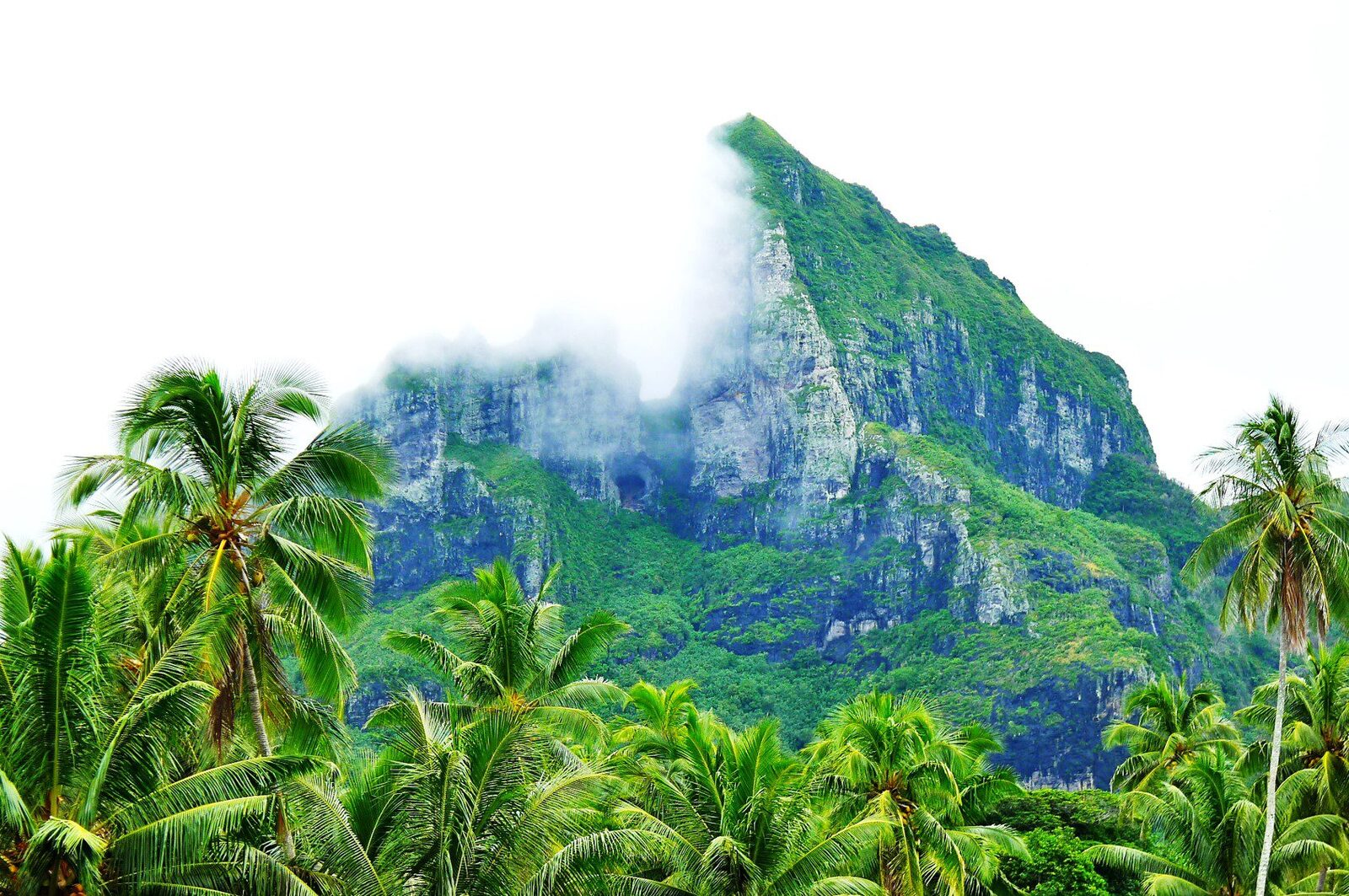 Bora natura discovery 4wd cultural safari, French Polynesia