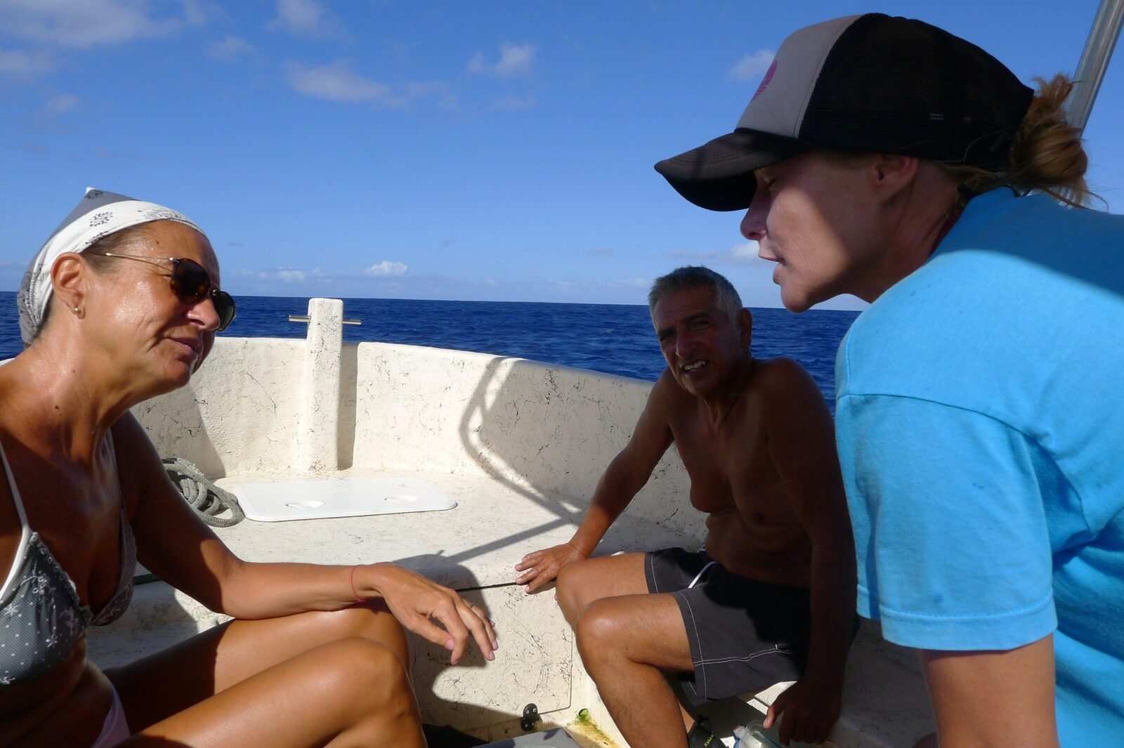 Moorea whale watching half day, French Polynesia