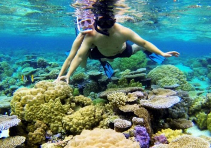 Pure snorkeling half day, French Polynesia