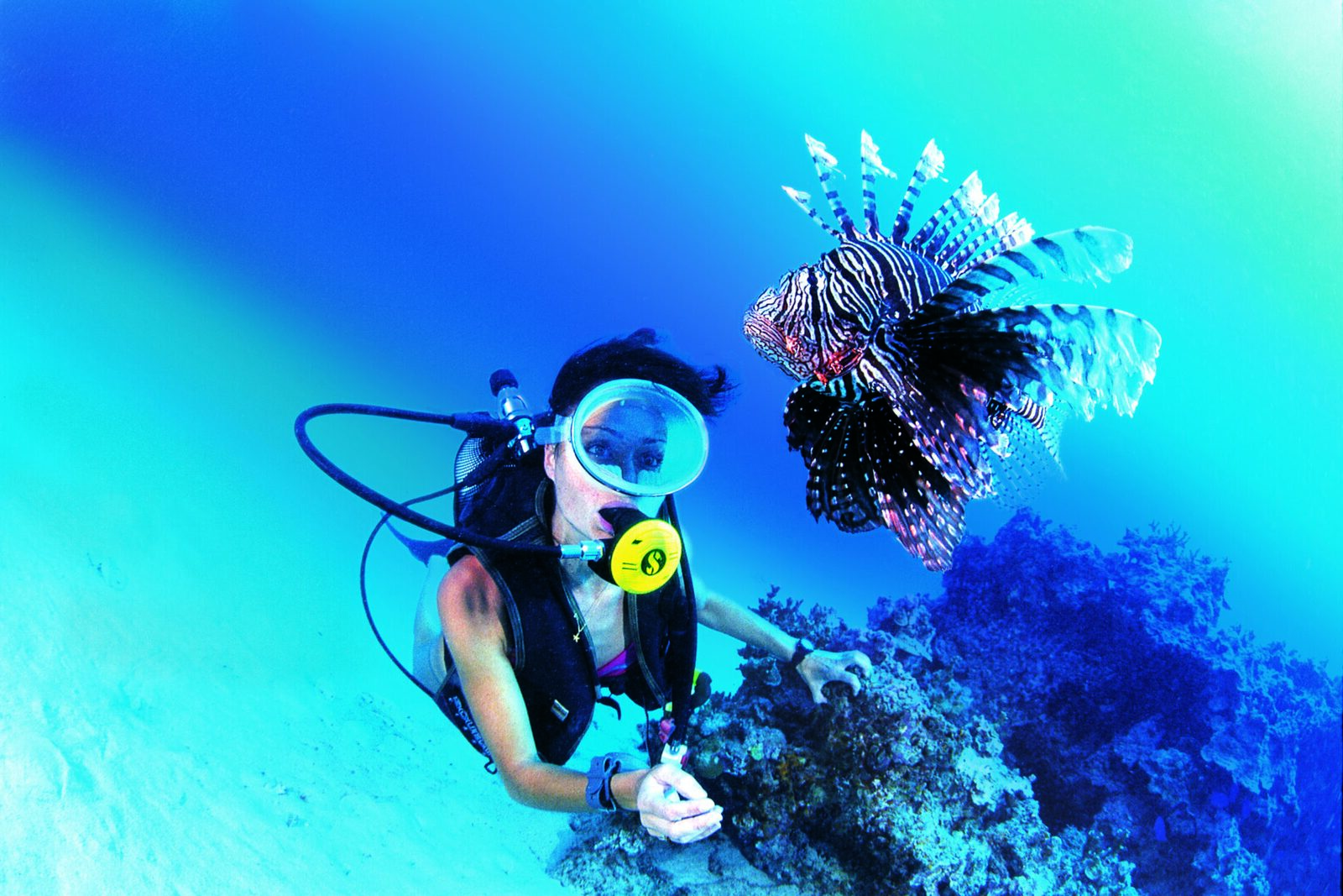 Raiatea initiation dive with hemisphere sub2, French Polynesia