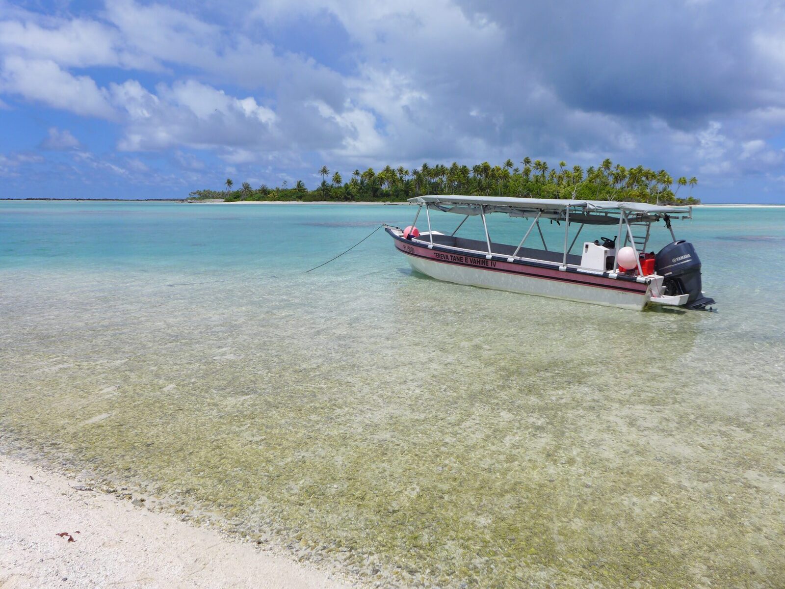 Rangiroa discovery of the reef island with motu picnic, French Polynesia