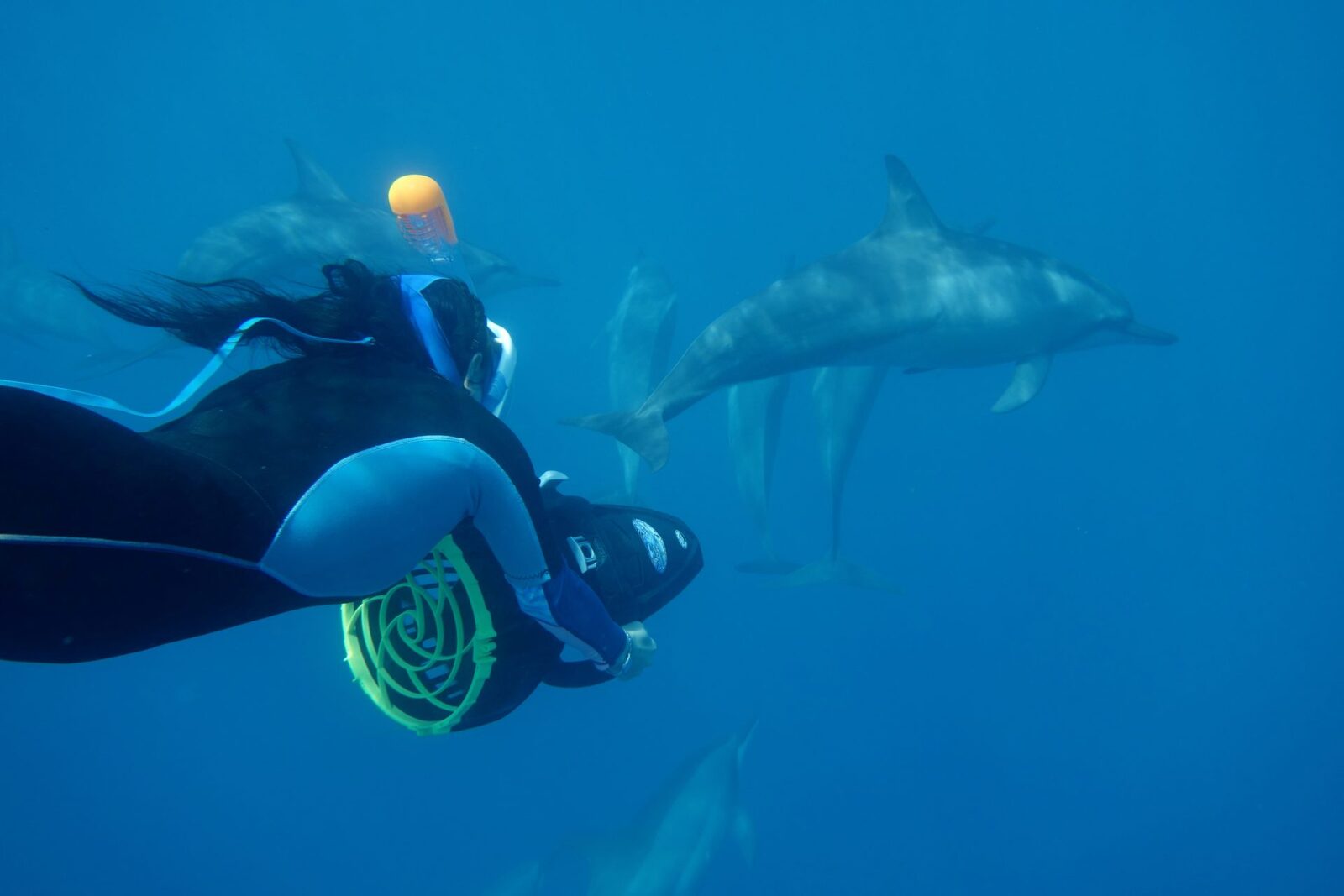 Seascooter snorkeling guided tour, French Polynesia