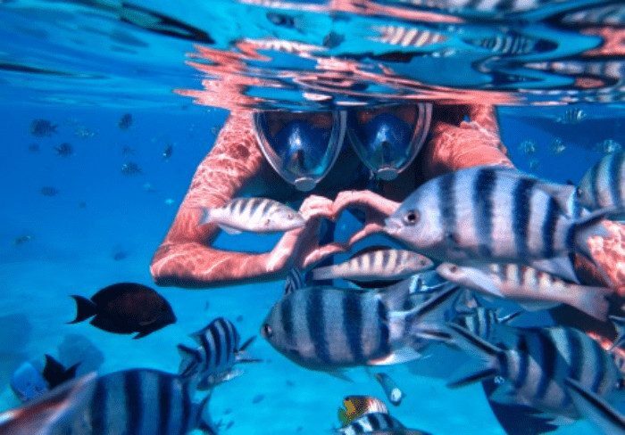 Snorkelings cool for the beginners 03h00, French Polynesia